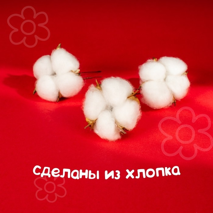 Сухие цветы хлопка, набор 3 шт., размер 1 шт. 6 × 6 см, цвет белый Сухие цветы хлопка, набор 3 шт., размер 1 шт. 6 × 6 см, цвет белый
