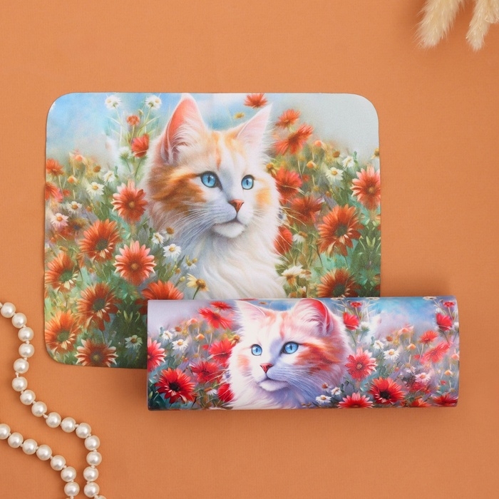 Очечник Очечник "Рыжий котик", 17х7 см