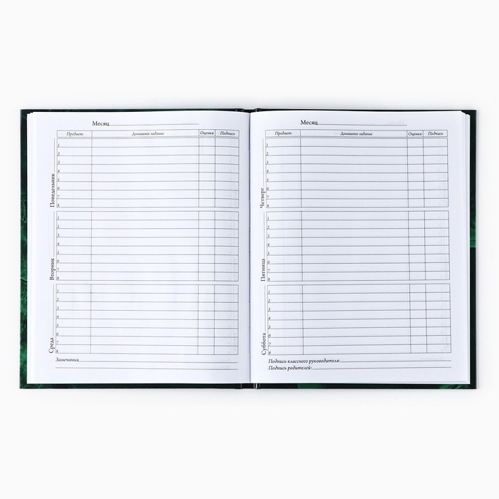 Дневник школьный для 1-11 класса, в твердой обложке, 40 л. «Изумрудный мрамор» Дневник школьный для 1-11 класса, в твердой обложке, 40 л. «Изумрудный мрамор»