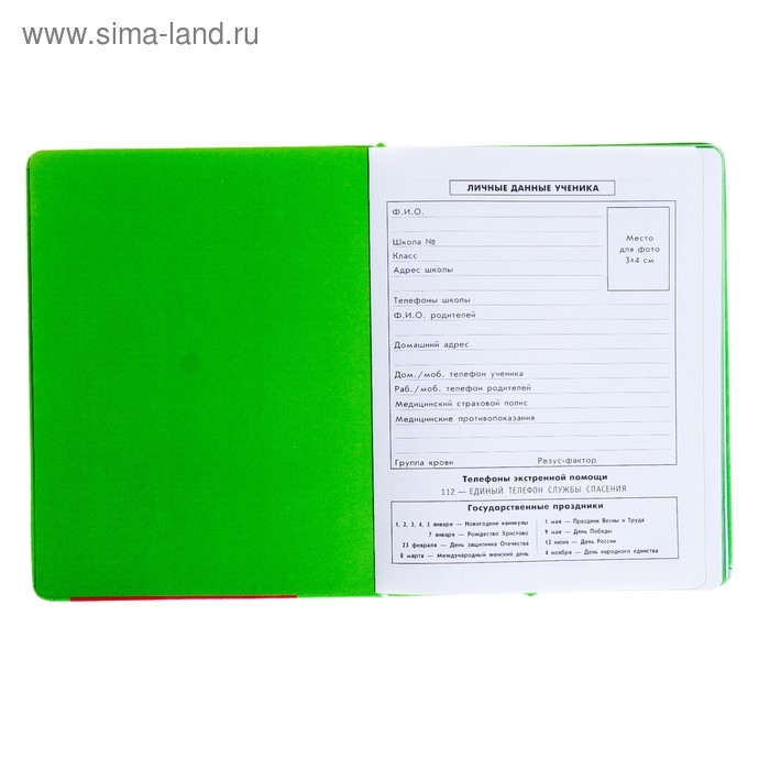 Дневник, универсальный, для 1-11 классов, «Монстрик в свитере», искусственная кожа, поролоновая подкладка, 3D аппликация, 48 листов Дневник, универсальный, для 1-11 классов, «Монстрик в свитере», искусственная кожа, поролоновая подкладка, 3D аппликация, 48 листов