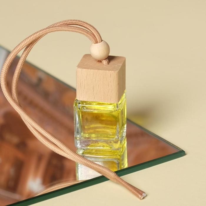 Ароматизатор подвесной в бутылочке размер XXL «Цитрус» Ароматизатор подвесной в бутылочке размер XXL «Цитрус»