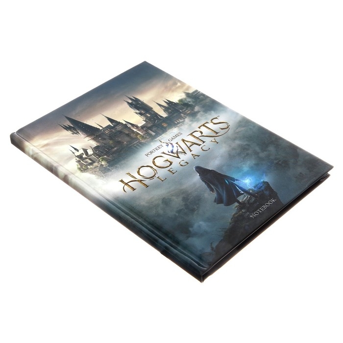 Записная книжка, А6, 48 листов, в клетку, Записная книжка, А6, 48 листов, в клетку, "Hogwarts Legacy. Гарри Поттер", глянцевая ламинация, блок офсет 60г/м2