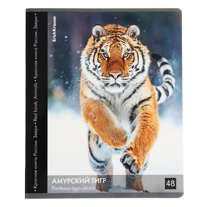 Тетрадь 48 листов в клетку, ErichKrause Тетрадь 48 листов в клетку, ErichKrause "Красная книга России. Звери.", обложка мелованный картон, глянцевая ламинация, блок офсет 100% белизна, МИКС