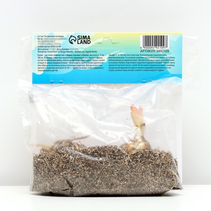 Лилия Махровая Лилия Махровая "Double Trouble", р-р 12/14, 2 шт,