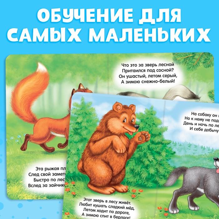 Книга картонная «Пушистые загадки», 10 стр. Книга картонная «Пушистые загадки», 10 стр.