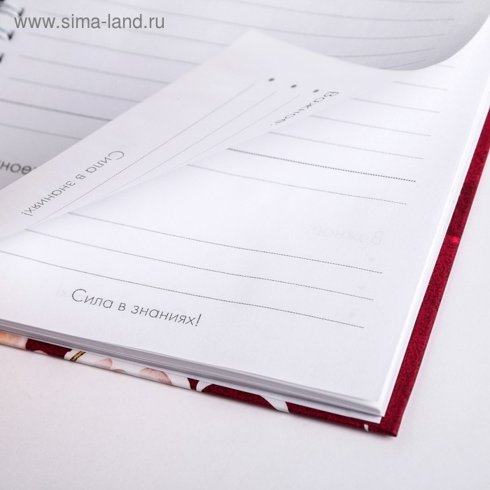 Ежедневник на гребне «Учителю: С Днем учителя», формат А5, 60 листов Ежедневник на гребне «Учителю: С Днем учителя», формат А5, 60 листов