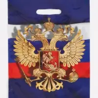 Пакет подарочный &laquo;Моя Россия&raquo;, полиэтиленовый с вырубной ручкой, 30&times;40 см 50 мкм