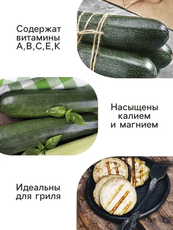 Семена Кабачок &laquo;Диамант&raquo;, F1, 5 шт., &laquo;Агрос&raquo;
