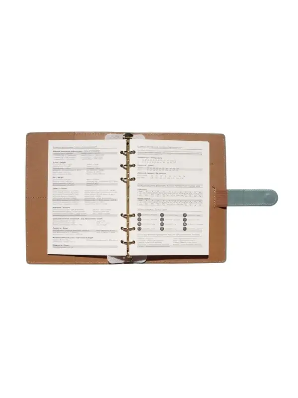 Органайзер на кольцах, C6, с хлястиком, 80л, линия, к/зам, Зеленый Органайзер на кольцах, C6, с хлястиком, 80л, линия, к/зам, Зеленый