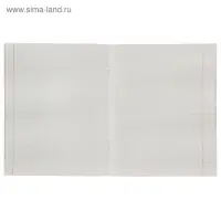 Тетрадь 48 листов в линейку Calligrata «Мотоциклы», обложка мелованный картон, блок №2, белизна 75% (серые листы), МИКС Тетрадь 48 листов в линейку Calligrata «Мотоциклы», обложка мелованный картон, блок №2, белизна 75% (серые листы), МИКС