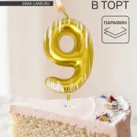 Свеча для торта &laquo;Легенда&raquo;, цифра 9