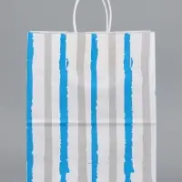 Пакеты подарочные &laquo;Мечтай смело&raquo;, набор 10 шт., 28&times;22&times;13 см, крафт