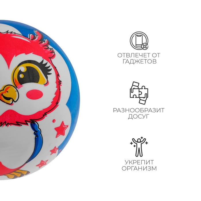 Мяч детский ZABIAKA «Совушка», d=22 см Мяч детский ZABIAKA «Совушка», d=22 см