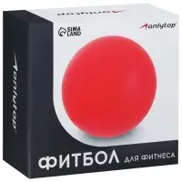 Фитбол ONLYTOP, d=65 см, 900 г, антивзрыв, чёрный