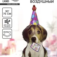 Воздушный шар фольгированный 30" &laquo;Щенок в колпаке&raquo;