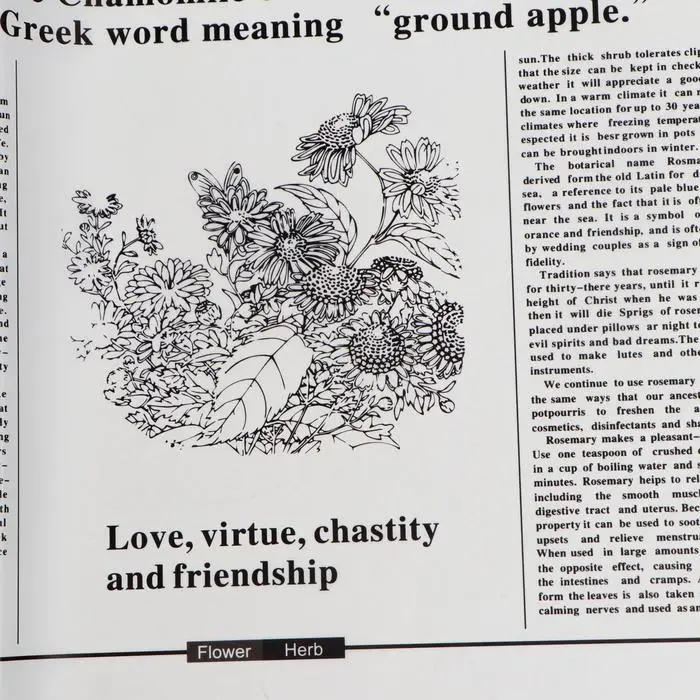 Плёнка матовая «Флористическая статья» белый, 57×57 см ±5% см