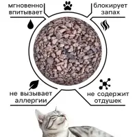 Наполнитель минеральный впитывающий &laquo;Пижон&raquo; для короткошерстных кошек, 5 л