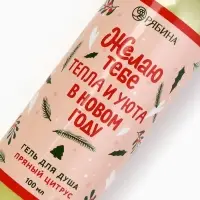 Гель для душа &laquo;Тепла и уюта в Новом году!&raquo;, 100 мл, аромат пряного цитруса, Чистое счастье