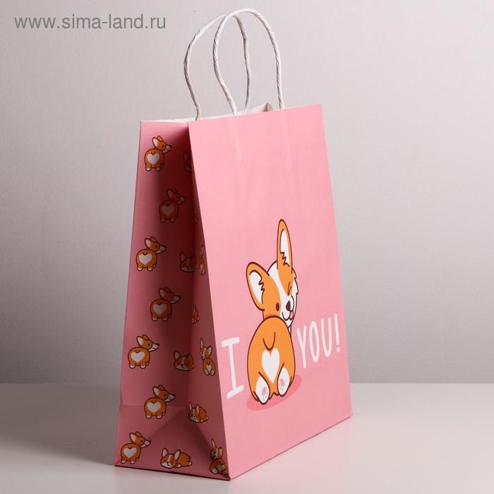 Пакет подарочный крафтовый, упаковка, I love you, 26 х 30 х 11,5 см Пакет подарочный крафтовый, упаковка, I love you, 26 х 30 х 11,5 см