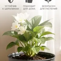 Горшок цветочный с поддоном Saffron, 1.5 л, d=14.6 см, h=13.5 см, пластиковый, серый