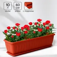 Балконный ящик для цветов &laquo;Алиция&raquo;, 10 л, 60&times;18.5&times;15.5 см, с поддоном, цвет терракотовый