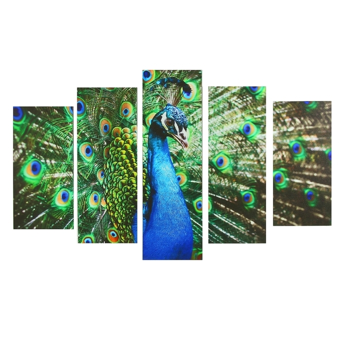 Картина модульная на подрамнике  Картина модульная на подрамнике "Павлин"  2-25х52, 2-25х66,5,1-25х80, 80*140 см