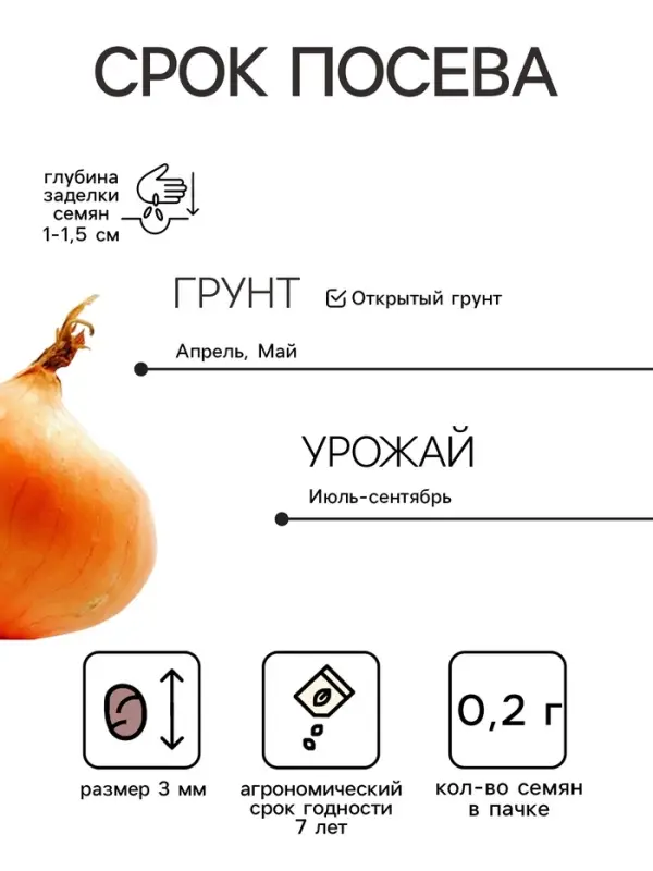 Семена Лук репчатый &laquo;Эксибишен&raquo;, 0.2 г, &laquo;Гавриш&raquo; bejo