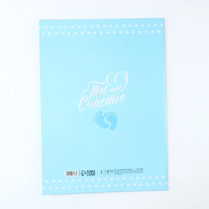 Свидетельство о рождении для мальчика  Свидетельство о рождении для мальчика "Мишка", 32 х 22,3 см