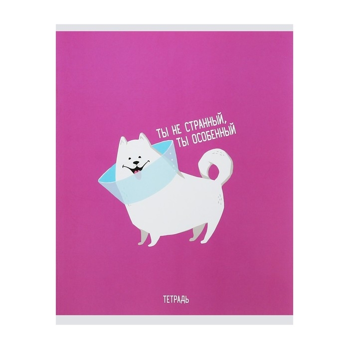 Тетрадь 48 листов в клетку Calligrata "Хорошо быть собакой", обложка мелованный картон, блок офсет, МИКС