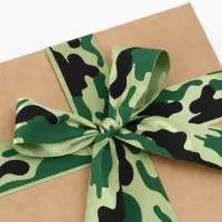 Лента атласная &laquo;Камуфляж&raquo;, 25 мм &times; 23 &plusmn; 1 м, цвет зелёный