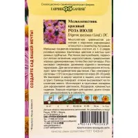 Семена цветов Мелколепестник красивый &laquo;Роза июля&raquo; 0.05 г