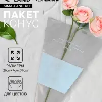 Пакет конус для цветов, с нетканым материалом, 26+7×37 см, голубой