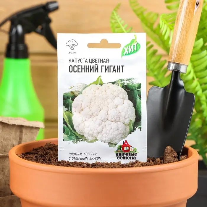 Семена Капуста цветная Семена Капуста цветная "Осенний гигант", ц/п, 0,1 г серия ХИТ х3