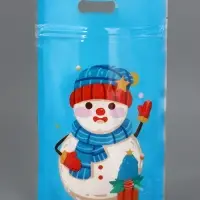 Пакет подарочный, с zip-lock застежкой, "Снеговик и его друзья", 15х22см МИКС Пакет подарочный, с zip-lock застежкой, "Снеговик и его друзья", 15х22см МИКС