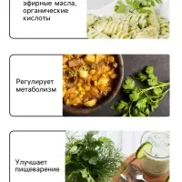 Семена Петрушка &laquo;Итальянский гигант&raquo;, XXXL, &laquo;Сембат&raquo;, 20 г