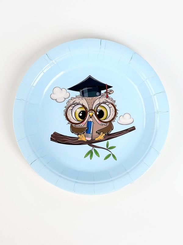 Набор бумажной посуды Набор бумажной посуды "Совушка", набор 12 шт.