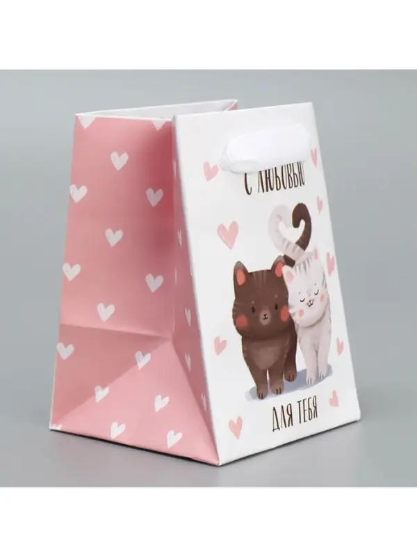 Пакет подарочный ламинированный, упаковка, «Котики», 7×10×7 см Пакет подарочный ламинированный, упаковка, «Котики», 7×10×7 см