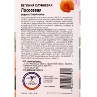 Семена цветов Бегония клубневая &laquo;Лососевая&raquo; 6 шт.