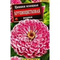Семена цветов Цинния Крупноцветковая розовая , Ц/П,0,3 г Семена цветов Цинния Крупноцветковая розовая , Ц/П,0,3 г