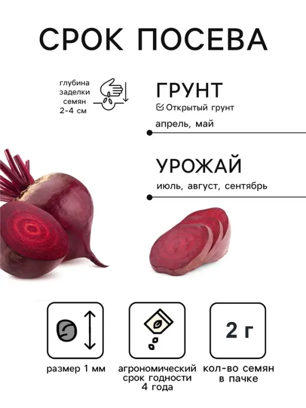 Семена Свекла &laquo;Бордо 237&raquo;, белый пакет, 2 г, &laquo;Семена Алтая&raquo;