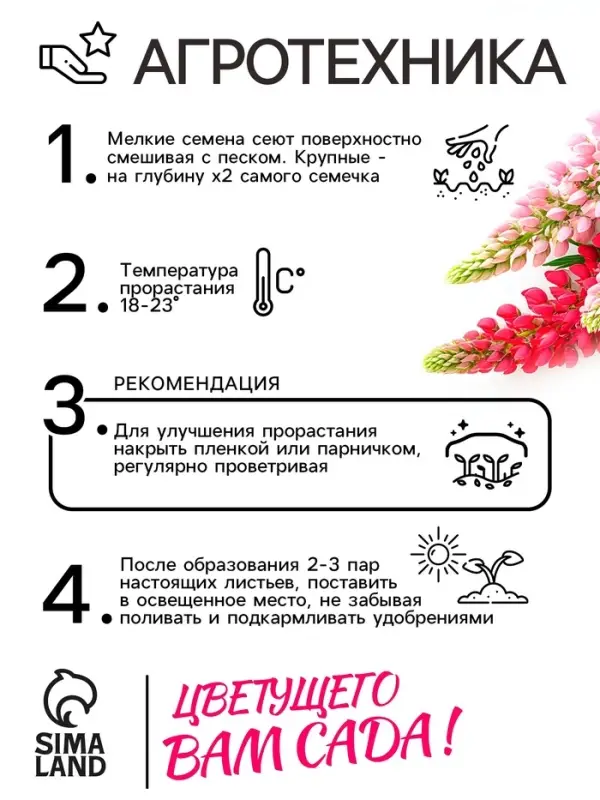 Семена цветов Люпин  Семена цветов Люпин "Смесь Рассела", 0,5 г