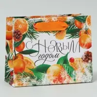 Пакет подарочный новогодний ламинированный &laquo;Новогоднее настроение&raquo;, S 15 х 12 х 5.5 см