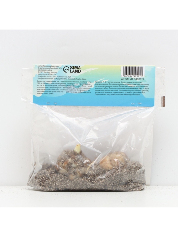 Лилия Азиатская Кашпо Cascavel, луковица в пакете с перфорацией, р-р 12/14, 2 шт.