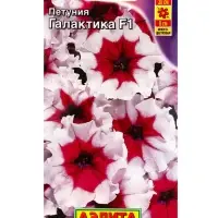 Семена цветов Петуния Галактика F1 обильноцветущая , Ц/П,7 шт.