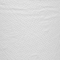 Бумага туалетная д/дисп 1сл белая втор втул 200м 12рул/уп_200W1