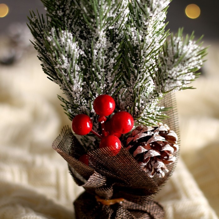 Новогодняя композиция «Новогодние веточки с шишками» 20 × 22 × 27 см Новогодняя композиция «Новогодние веточки с шишками» 20 × 22 × 27 см