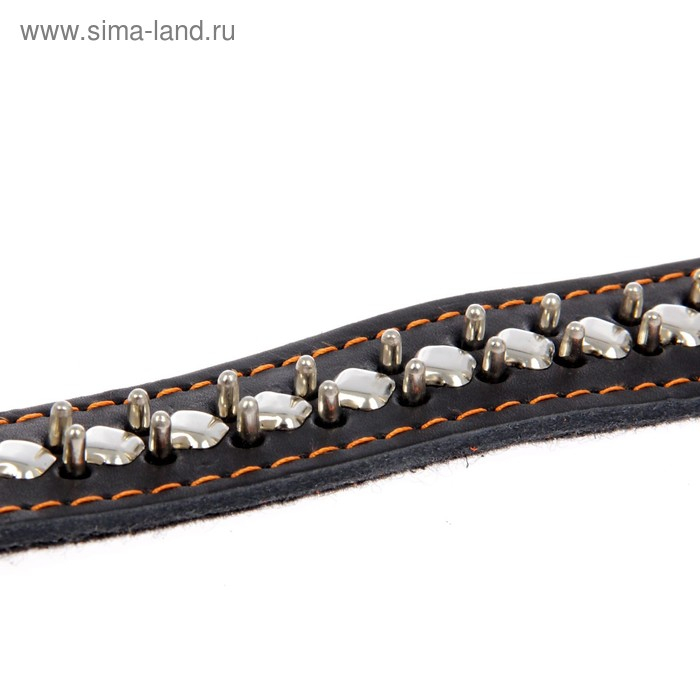 Ошейник кожаный на синтепоне Ошейник кожаный на синтепоне "Ёж", 69 х 3.6 см, ОШ 45-60 см, чёрный