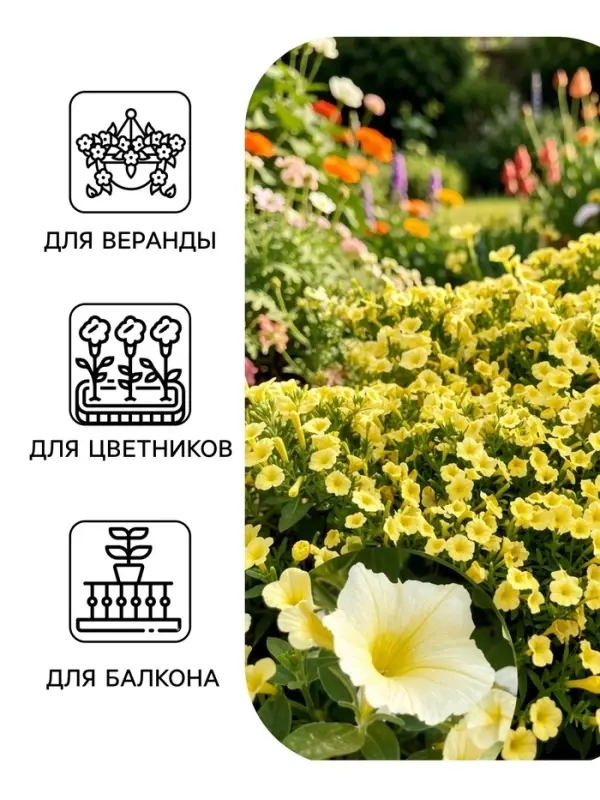 Семена цветов Петуния &laquo;Пикколино&raquo; F1, лайм, 5 шт., Farao, &laquo;АЭЛИТА&raquo;