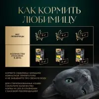 Влажный корм Sheba для кошек курица, паштет, пауч 75 г