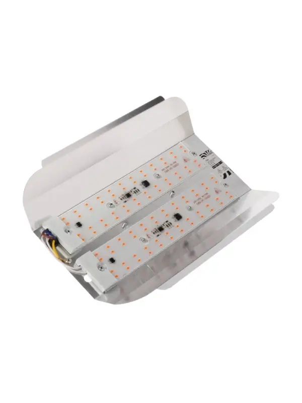 Фитопрожектор для растений Luazon Lighting СДО09-100, светодиодный, 100 Вт, IP65, 220 В, бескорпусный, мультиспектральный